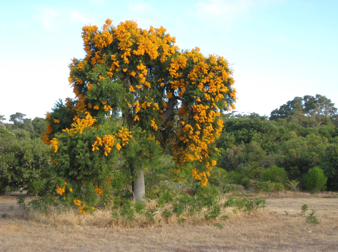 Miya Miya Bed & Breakfast主图