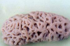 立川内姆尔Inn商务酒店