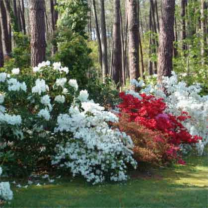 Au Logis Des Becs Fins主图