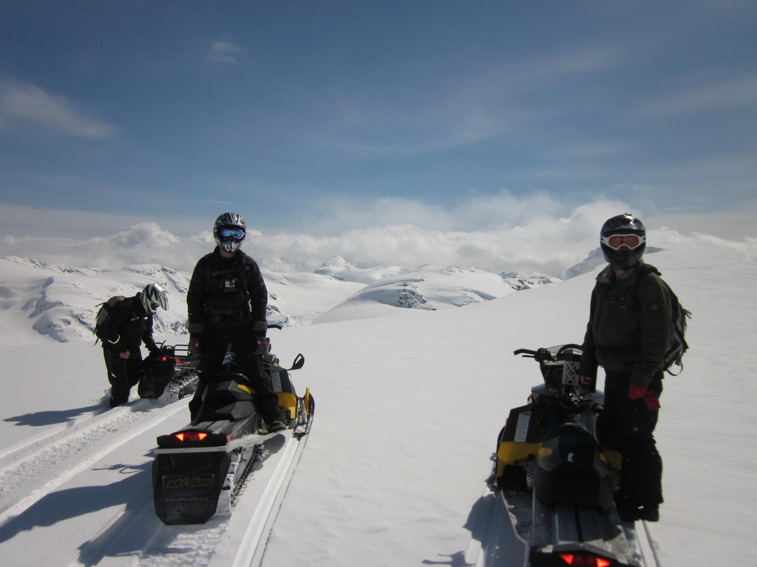 Totally Awesome Adventures-Pemberton必去景点