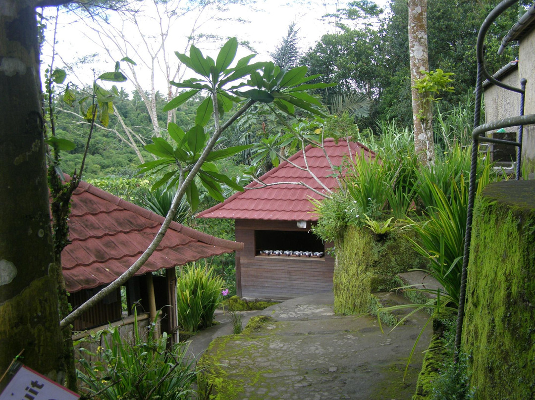 Buana Amertha Sari (BAS)-邦利必去景点