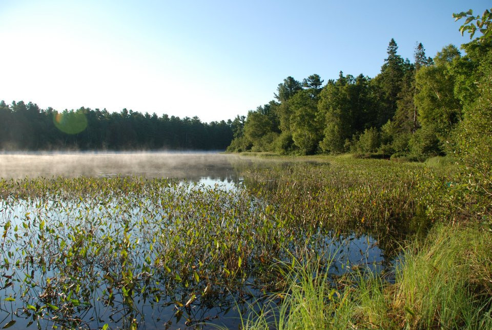 Grundy Lake Provincial Park景点图片