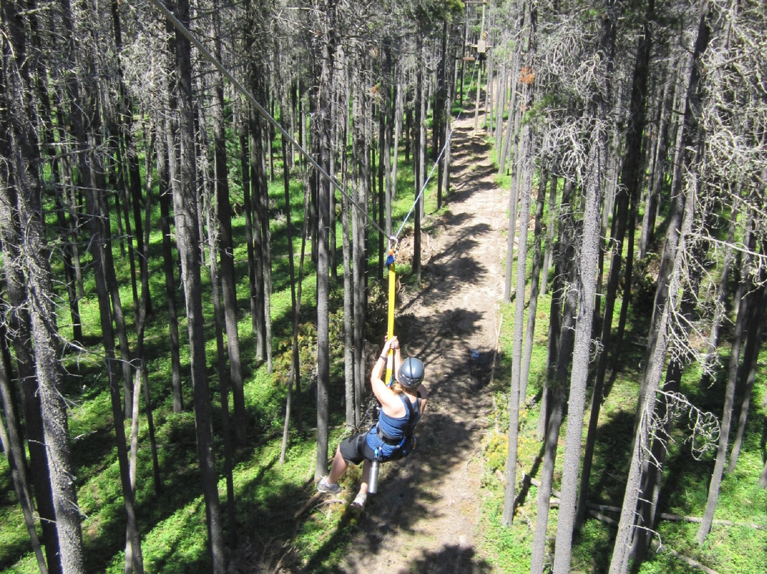 Treeosix Adventure Parks-Maple Creek必去景点