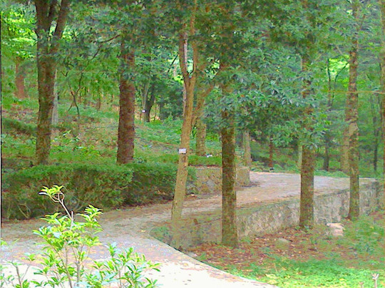 天外来客山庄主图