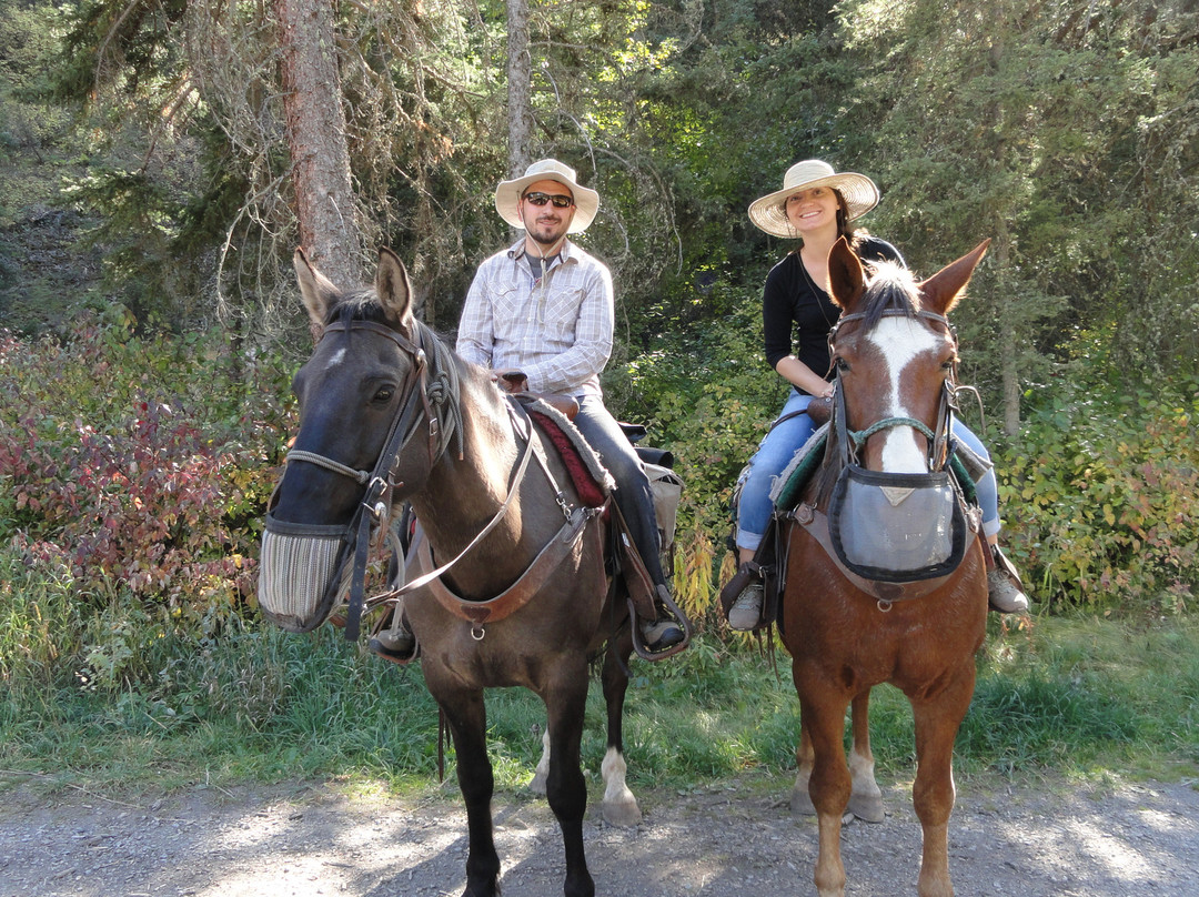 Bear Paw Outfitters-利文斯顿必去景点