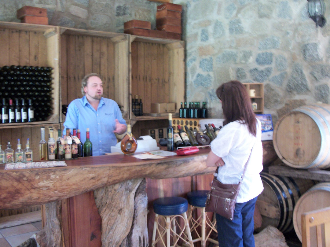 Bezalel Wine & Brandy Estate-阿平顿必去景点