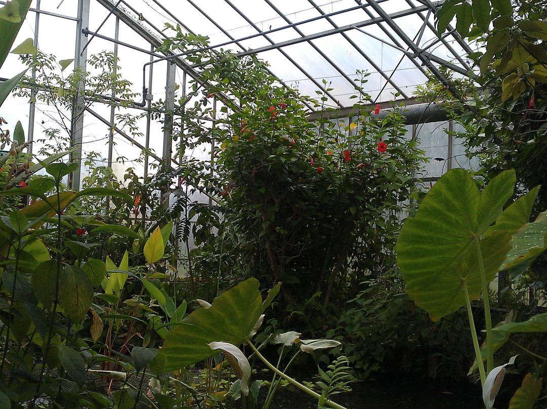 Butterfly World-斯托克顿提斯必去景点