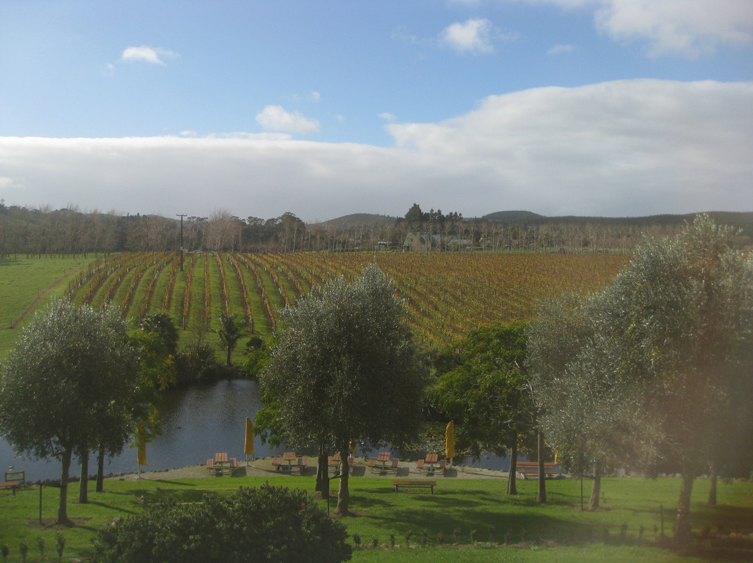 Auckland Fine Wine & Food Tours-奥克兰中心地区必去景点