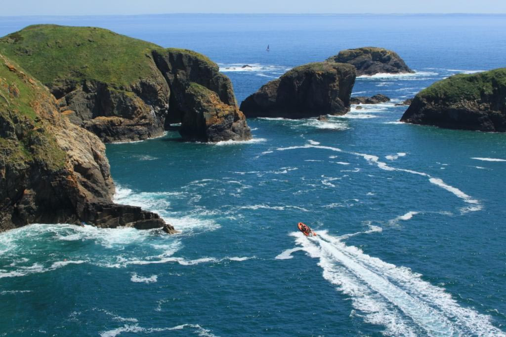 Voyages of Discovery (Ramsey Island)-St. Davids必去景点