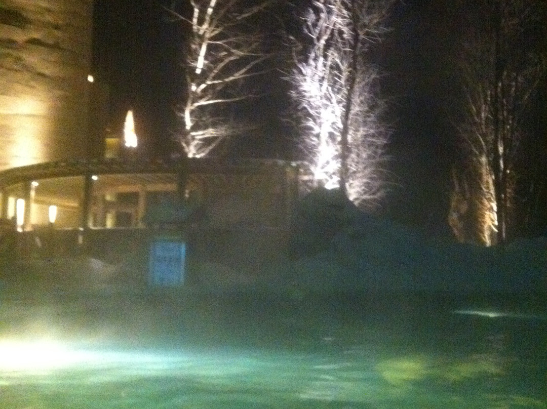 蓝景温泉度假酒店主图