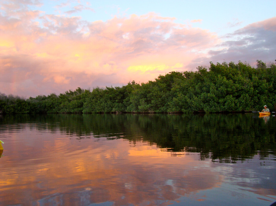 Everglades Adventures Kayak & Eco Tours-大沼泽地必去景点