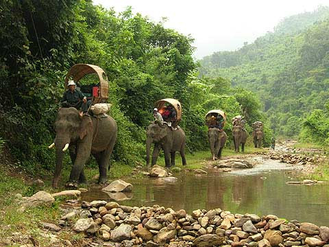 Green Discovery Laos-琅勃拉邦必去景点