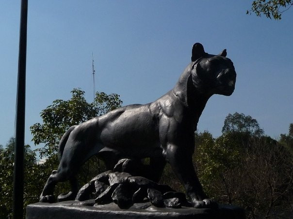 查普尔特佩克公园-墨西哥城必去景点