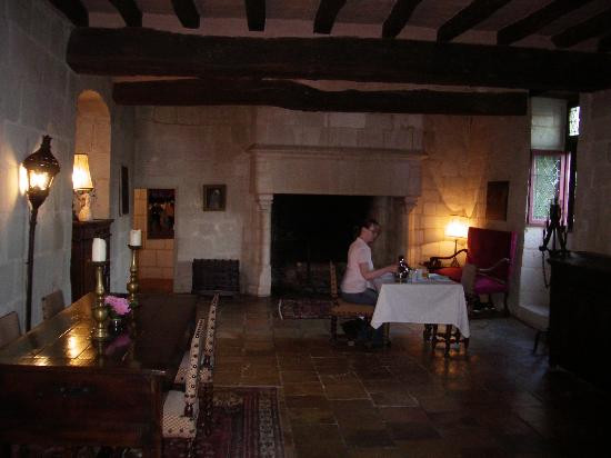 Chateau de Danzay主图