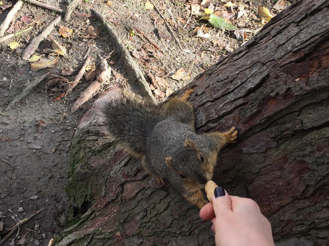 Mile Square Regional Park-芳泉谷必去景点