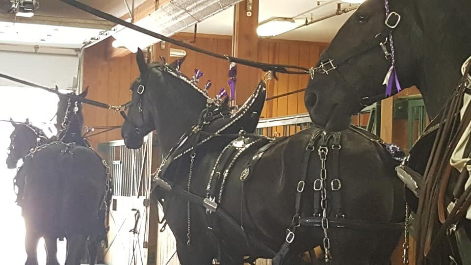 Young Living Farms Lavender Farm-Mona必去景点