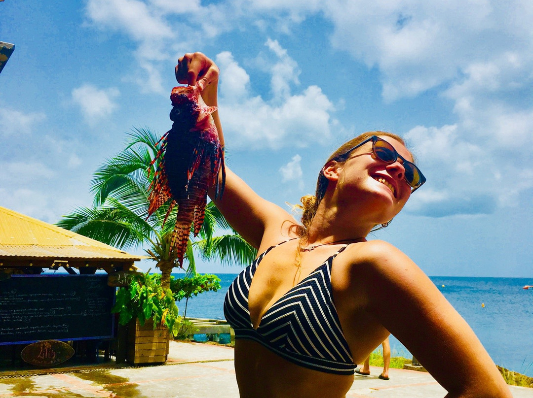 Club de Plongée Batelière-Schoelcher必去景点