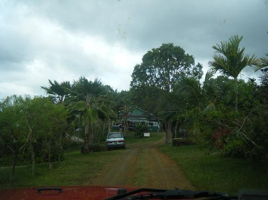 Lydgate Farms Kauai Chocolate-卡帕阿必去景点