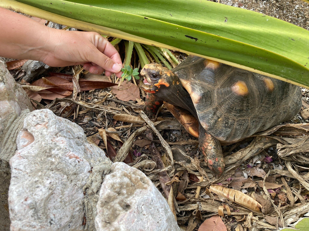 Serena's Art Factory-Santa Catharina必去景点