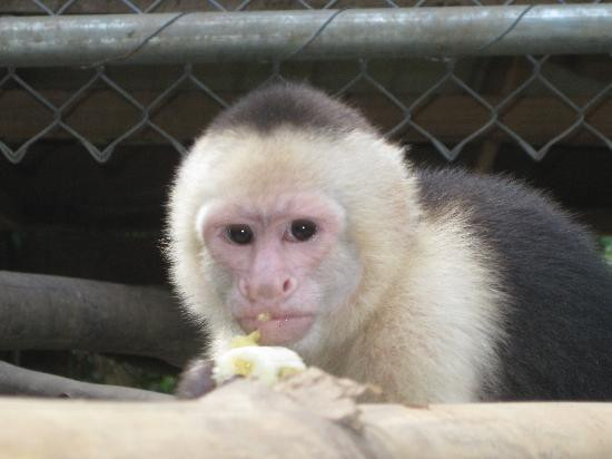Tree of Life Wildlife Rescue Center and Botanical Gardens-卡维塔必去景点