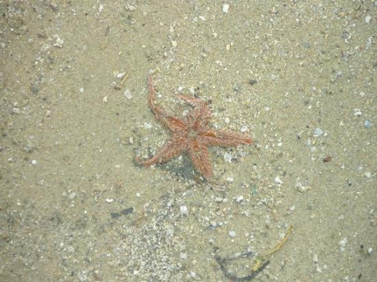 南克罗鲁娜海滩-悉尼必去景点