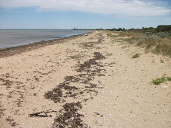Point Cook Coastal Park景点图片