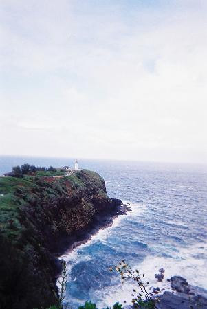 津劳也亚自然生物保护区-基拉韦厄必去景点