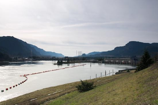 Bonneville Lock & Dam-Cascade Locks必去景点