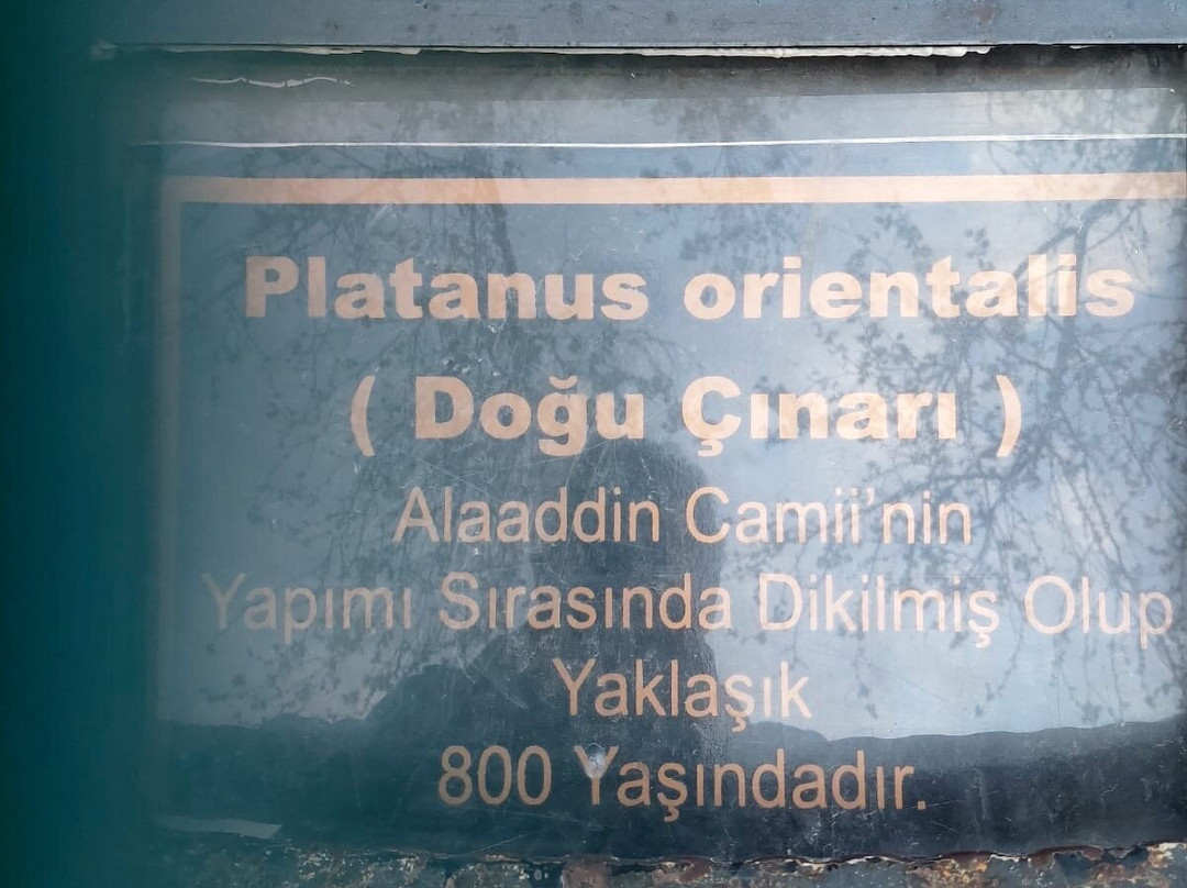 Sultan Alaaddin Camii-贝帕札里必去景点