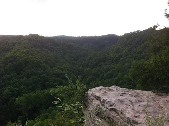 Spencer Gorge Conservation Area-邓达斯必去景点