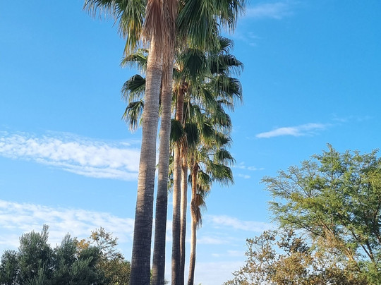 East Gate Rest Camp主图