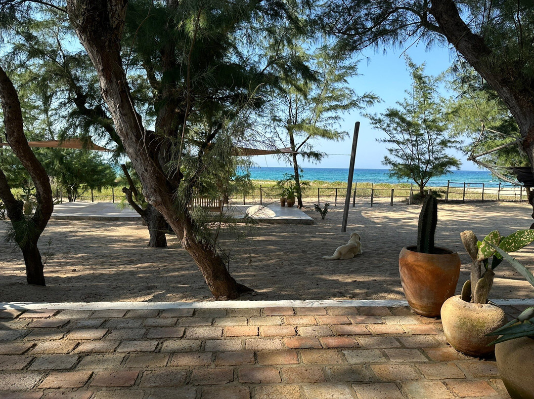 Liquid Dive Adventures-托佛必去景点