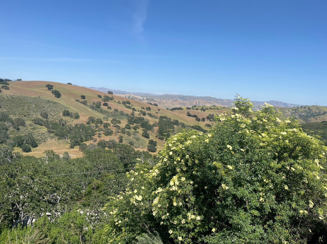 Calera Wine Company-霍利斯特必去景点