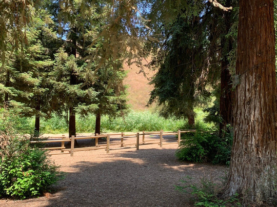 Carbon Canyon Regional Park-Brea必去景点