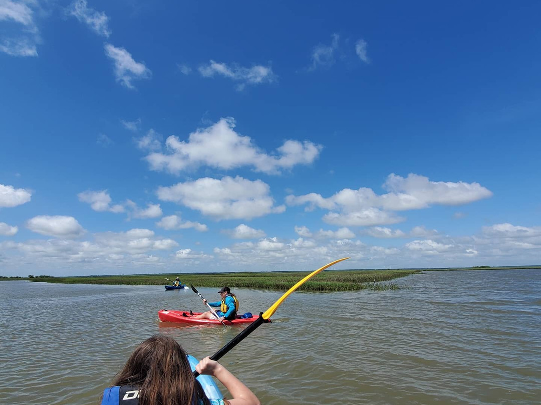 Nature Trails Kayaking景点图片