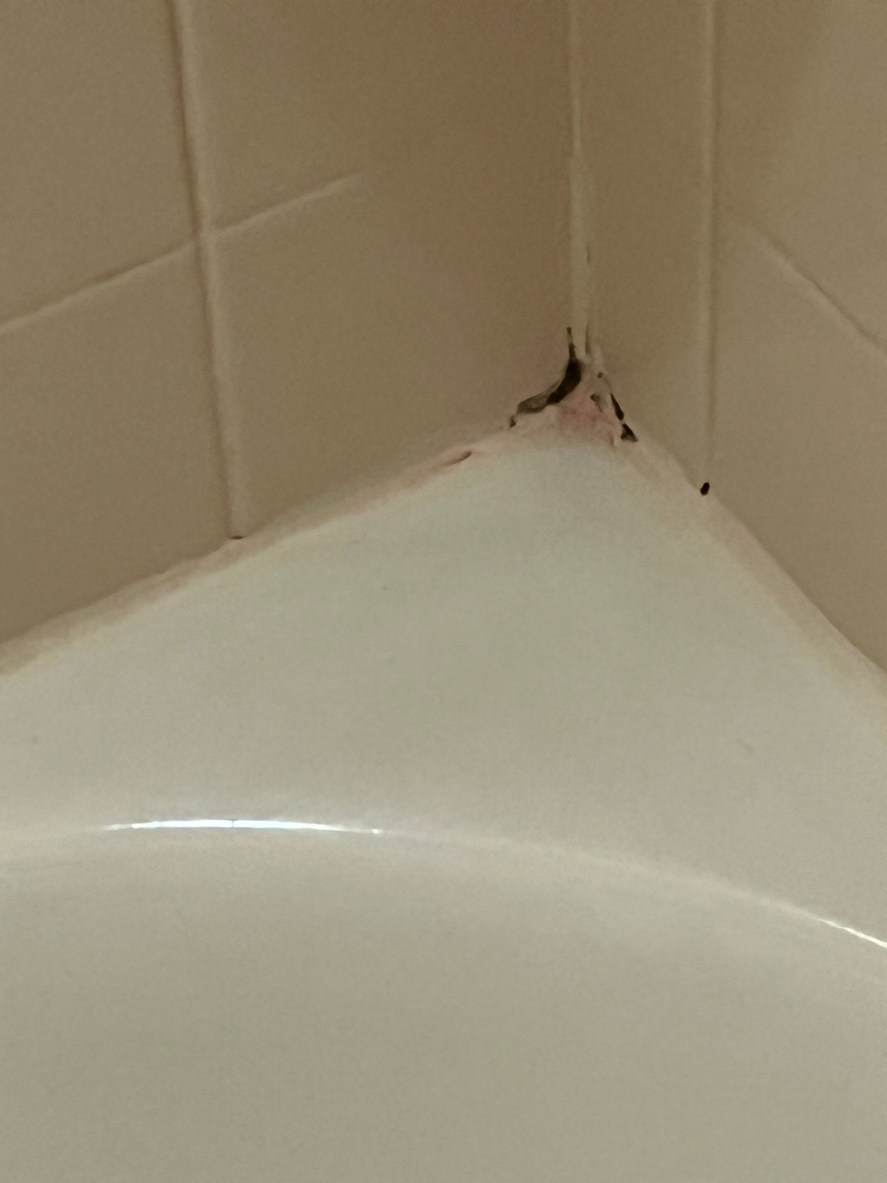 Courtyard by Marriott Knoxville Airport Alcoa-客卧