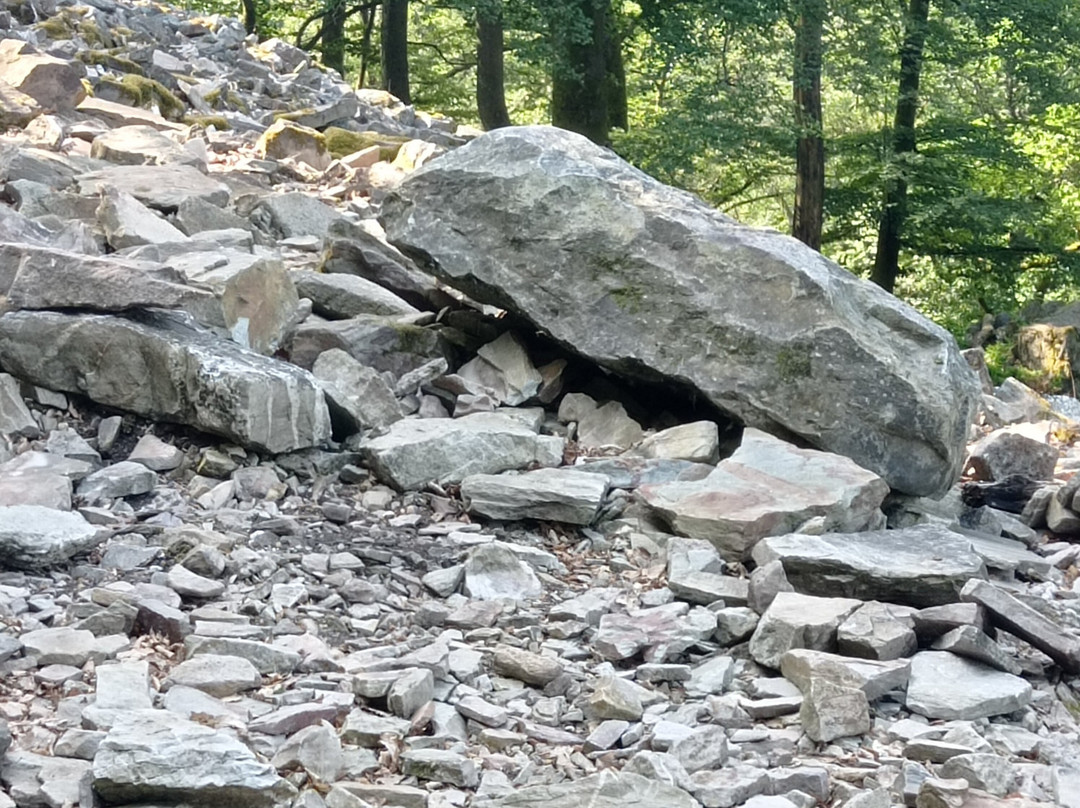 Hunnenring der keltische Ringwall-Nonnweiler必去景点