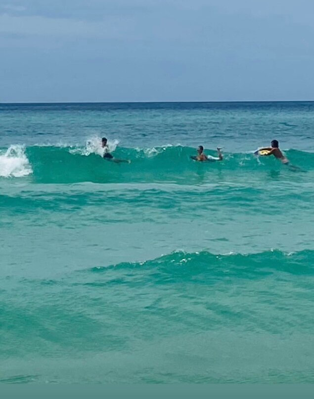 Osprey on the Gulf主图