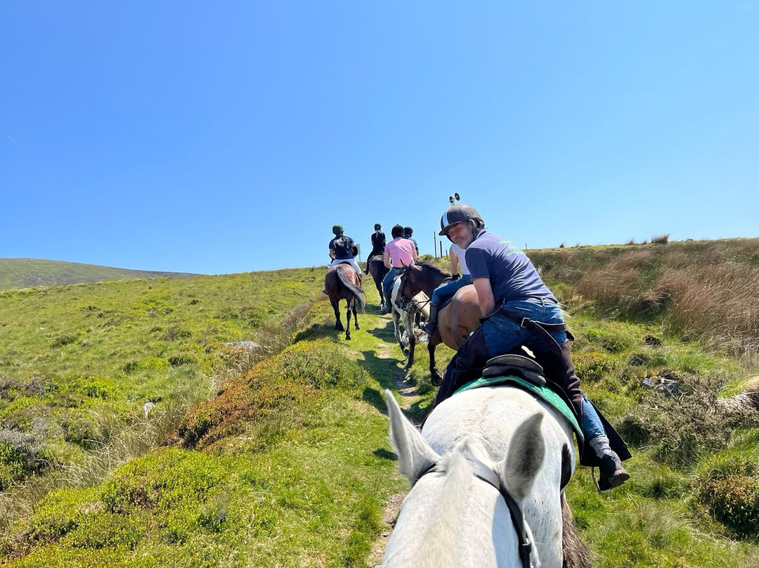 Hollywood Horse and Pony Trekking-Wicklow必去景点