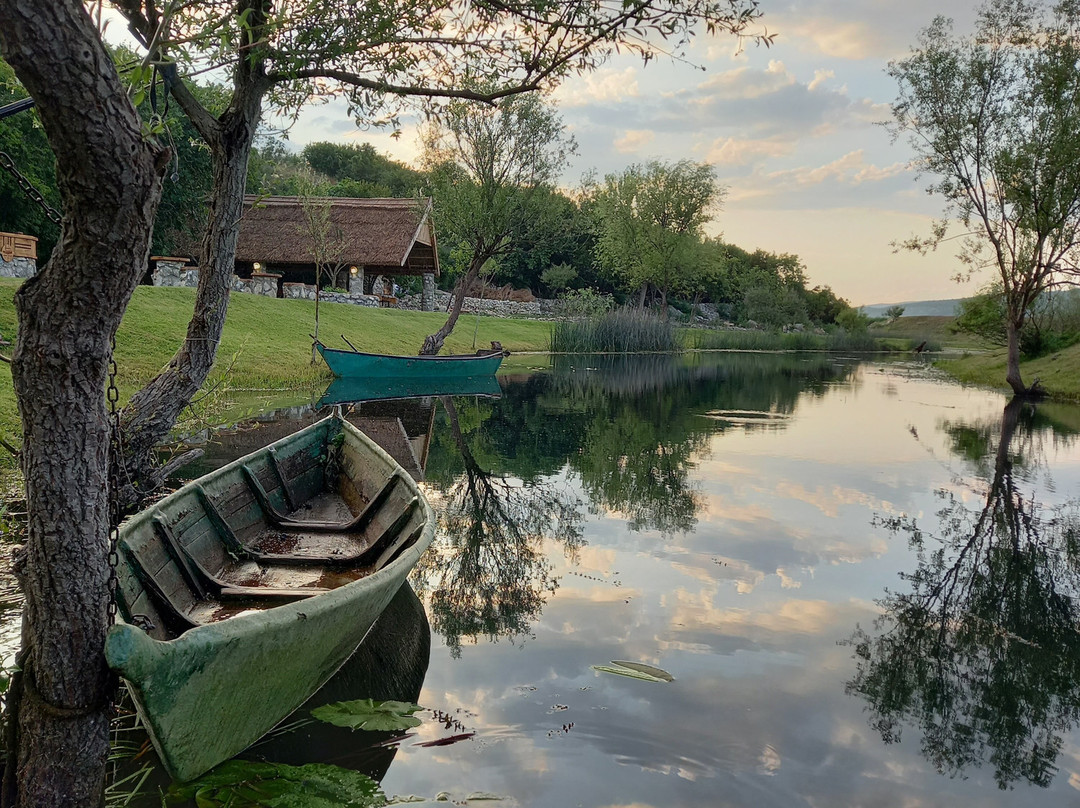 LAKE TOUR SVITAVA-Oz Plavo Zelena景点图片
