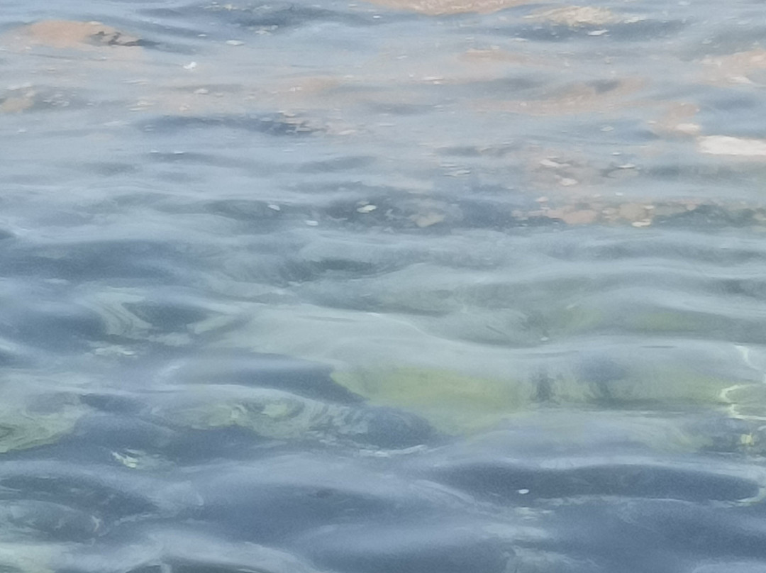 Spiaggia Marina Di Mancarversa-Taviano必去景点