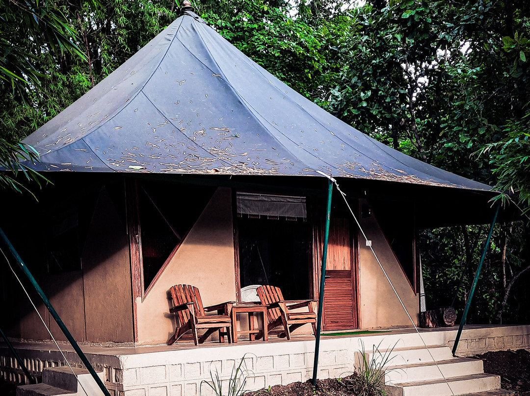 Pench Jungle Camp - Jungle Camps India主图