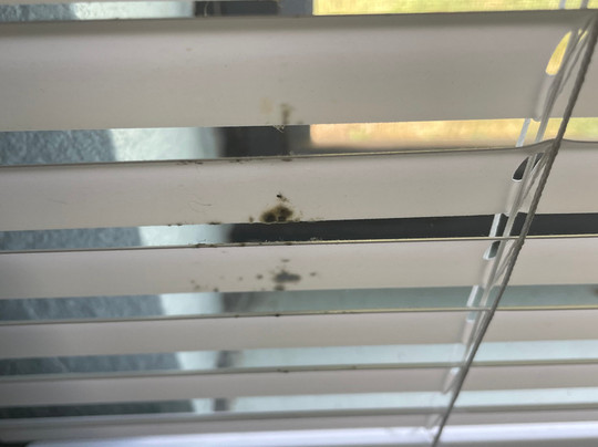 Baymont by Wyndham Creedmoor主图