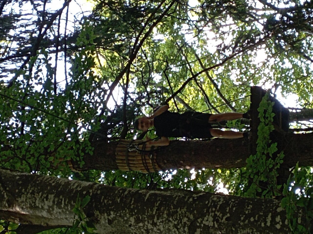 Boscopark Parco Avventura景点图片