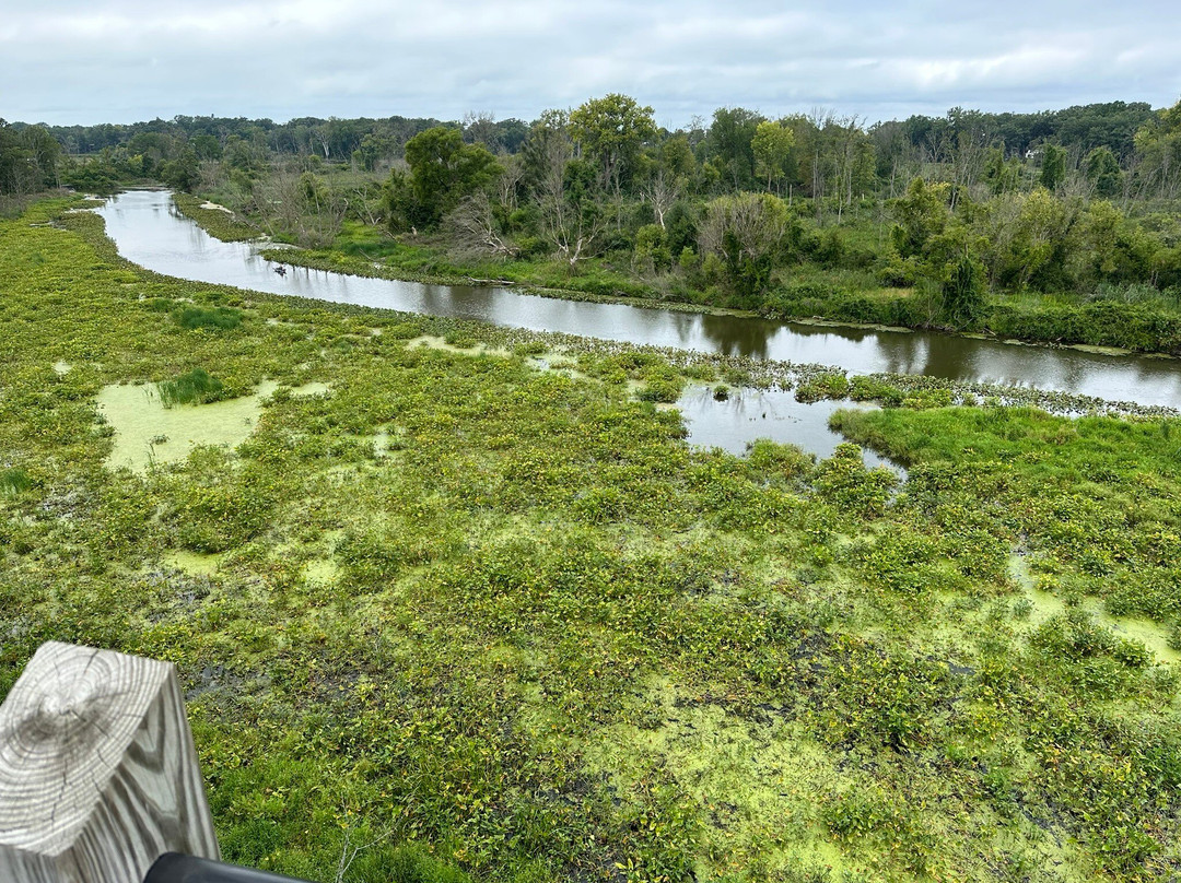Galien River County Park-New Buffalo必去景点