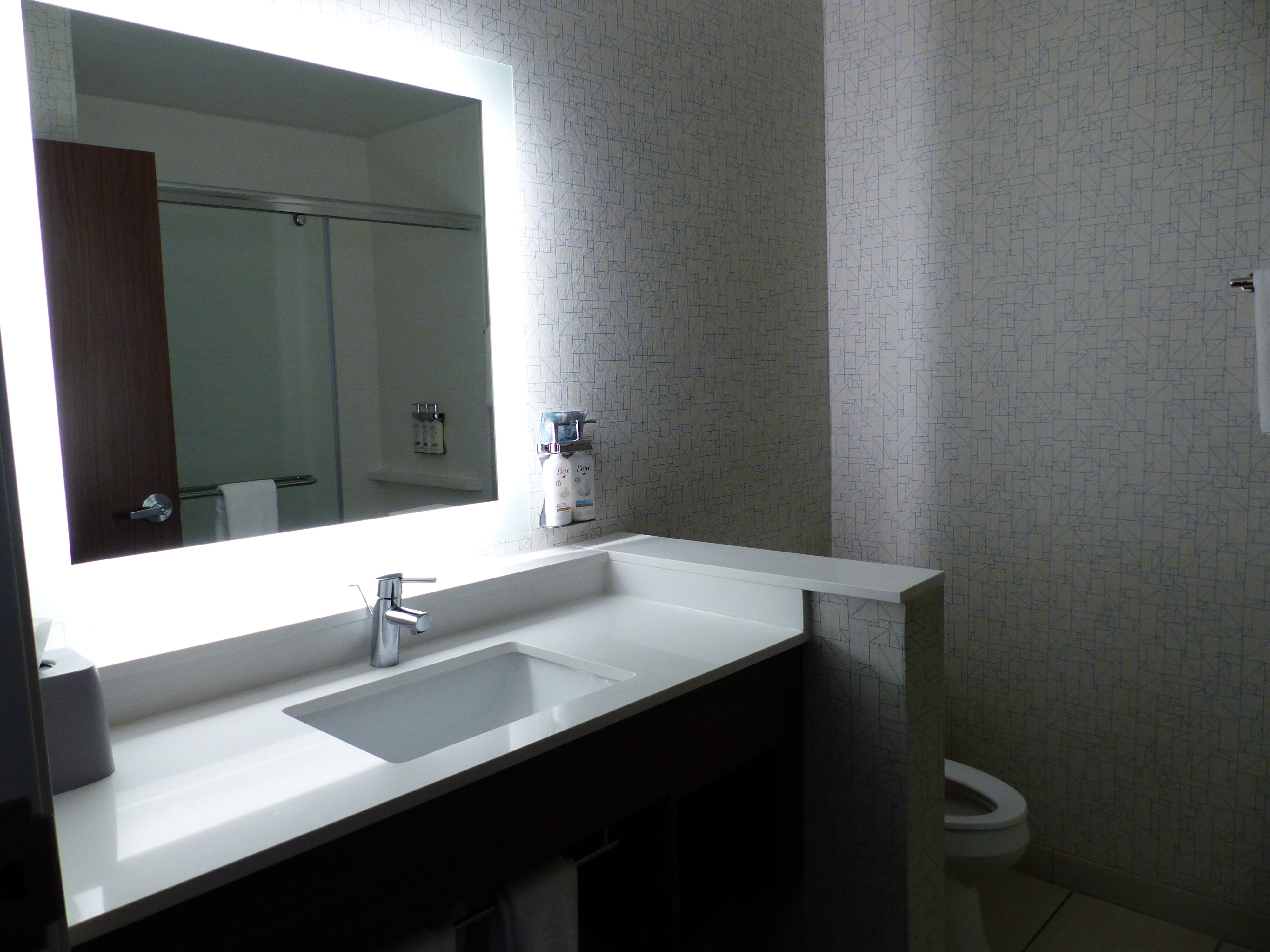 Holiday Inn Express & Suites Auburn By IHG-浴室