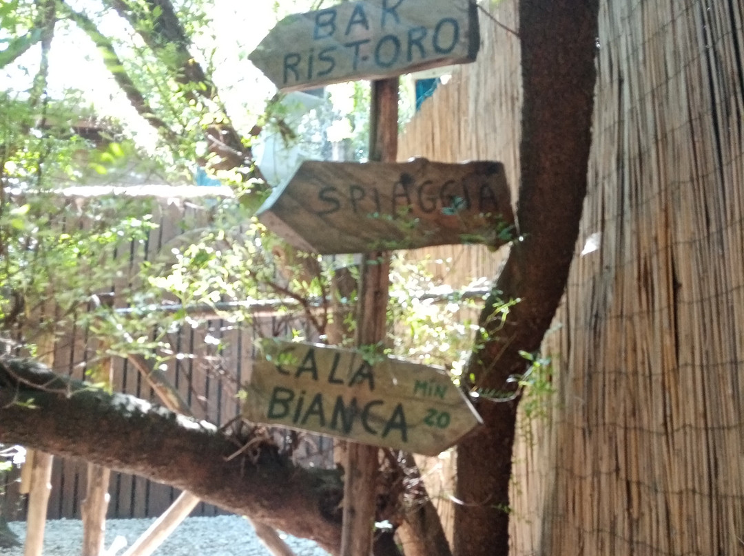 Cala Bianca Spiaggia-Marina di Camerota必去景点