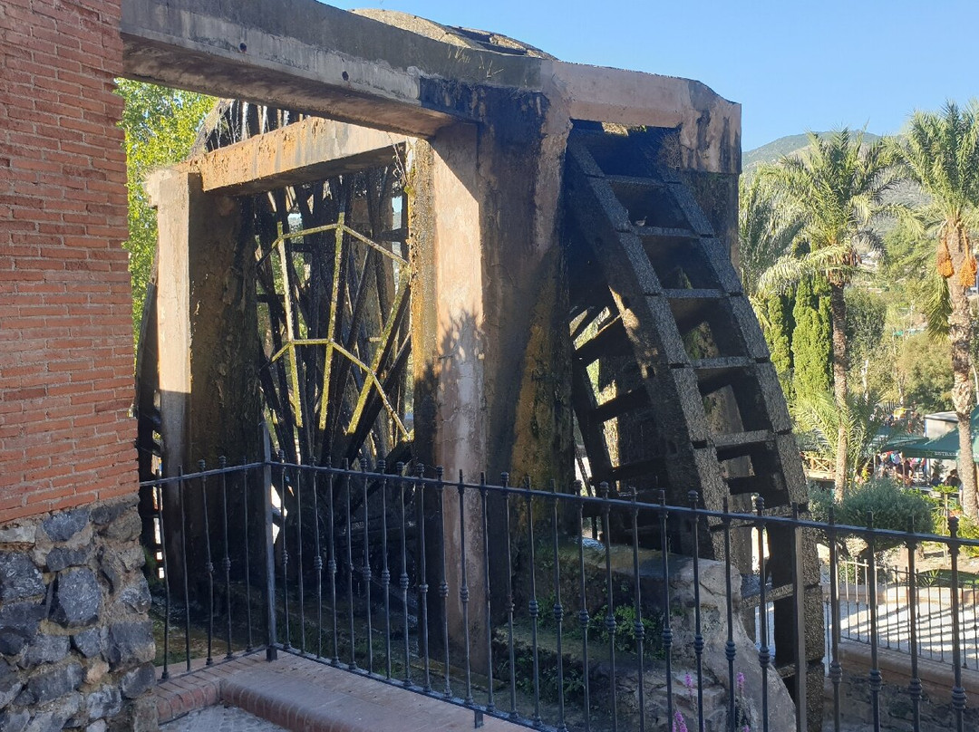 Noria Grande de Abarán-Abarán必去景点