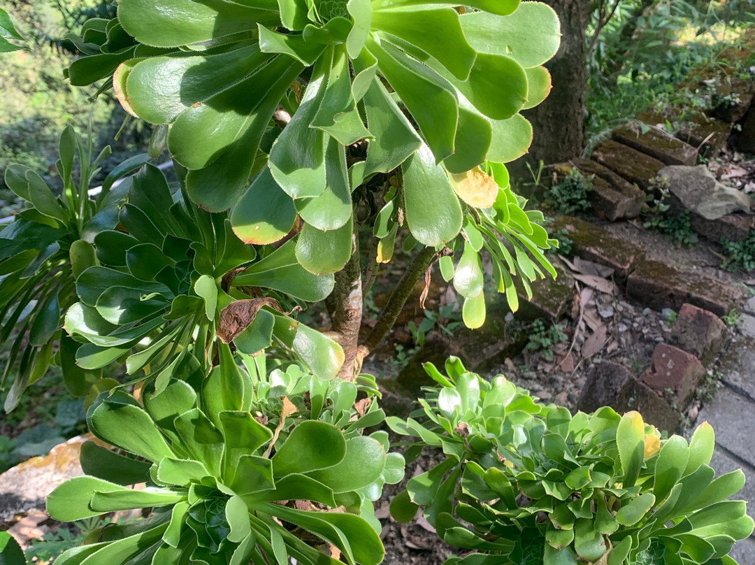 The Green Village Eco Resort主图