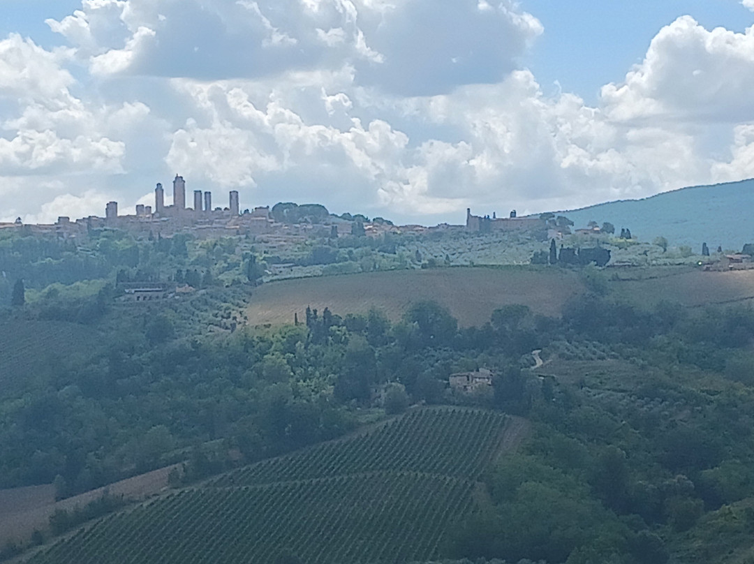 Guido's Tours - Wine Tours in Tuscany-佛罗伦萨必去景点